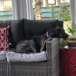 Meet your Posher, Chuck